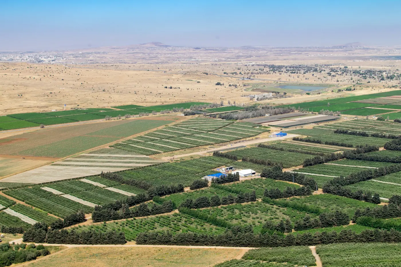 שדות מעובדים בארץ ישראל